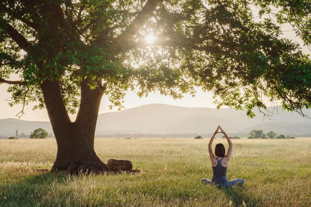 Mujer practicando yoga debajo de un árbol para mejorar su superación personal.